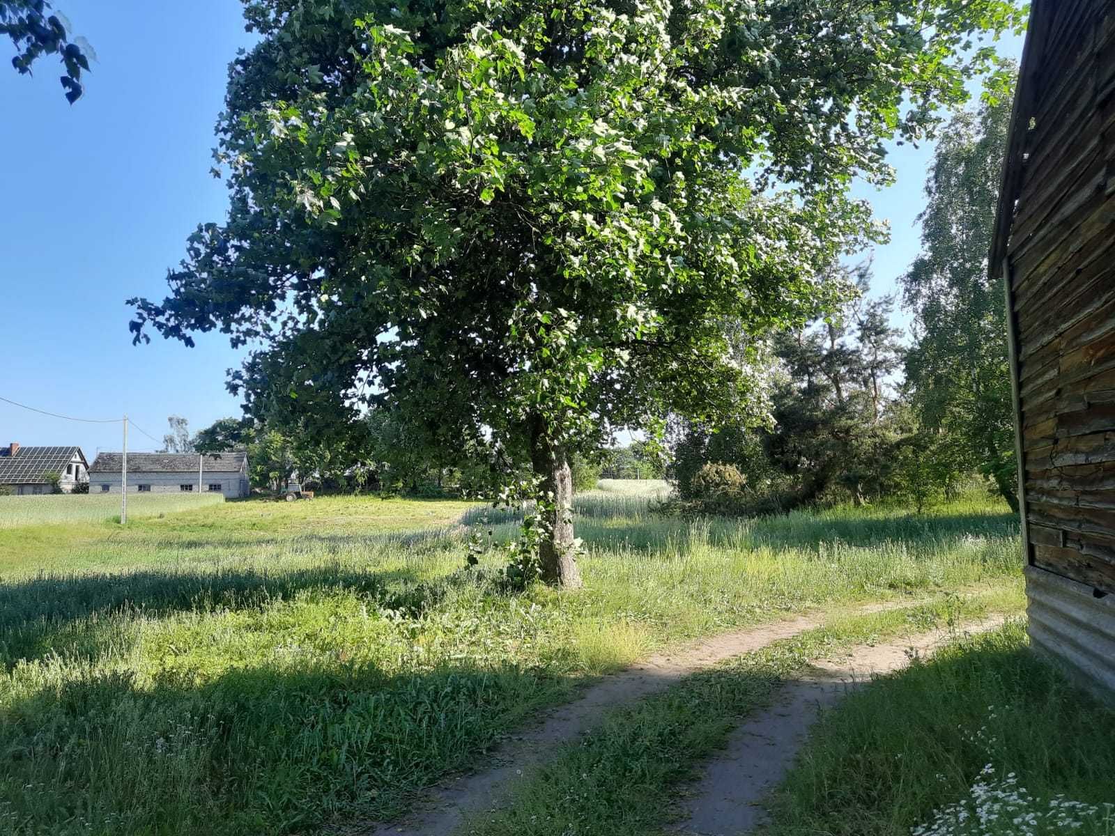 Działka budowlana 1008 m2, warunki zabudowy, Chwarzno