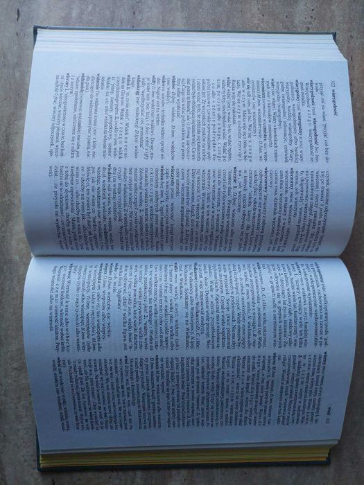 Słownik poprawnej polszczyzny. Практичний словник польської мови.