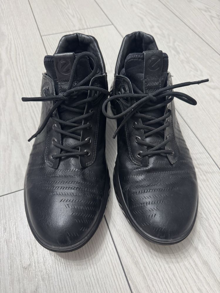 Ecco ST1 LITE 43