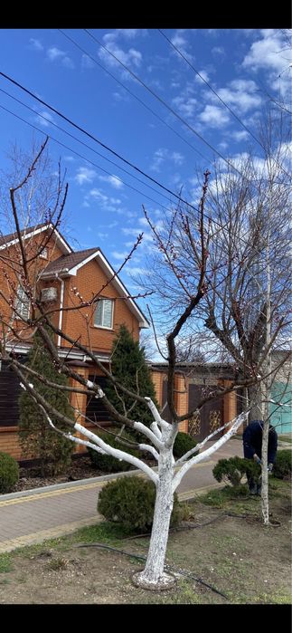 Садовник-выполняем все садовые работы