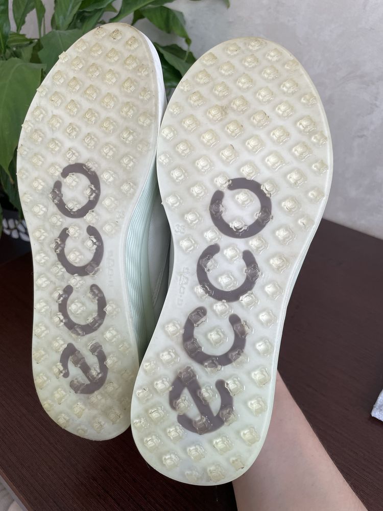 Жіночі кросівки для гольфу ECCO S-Three