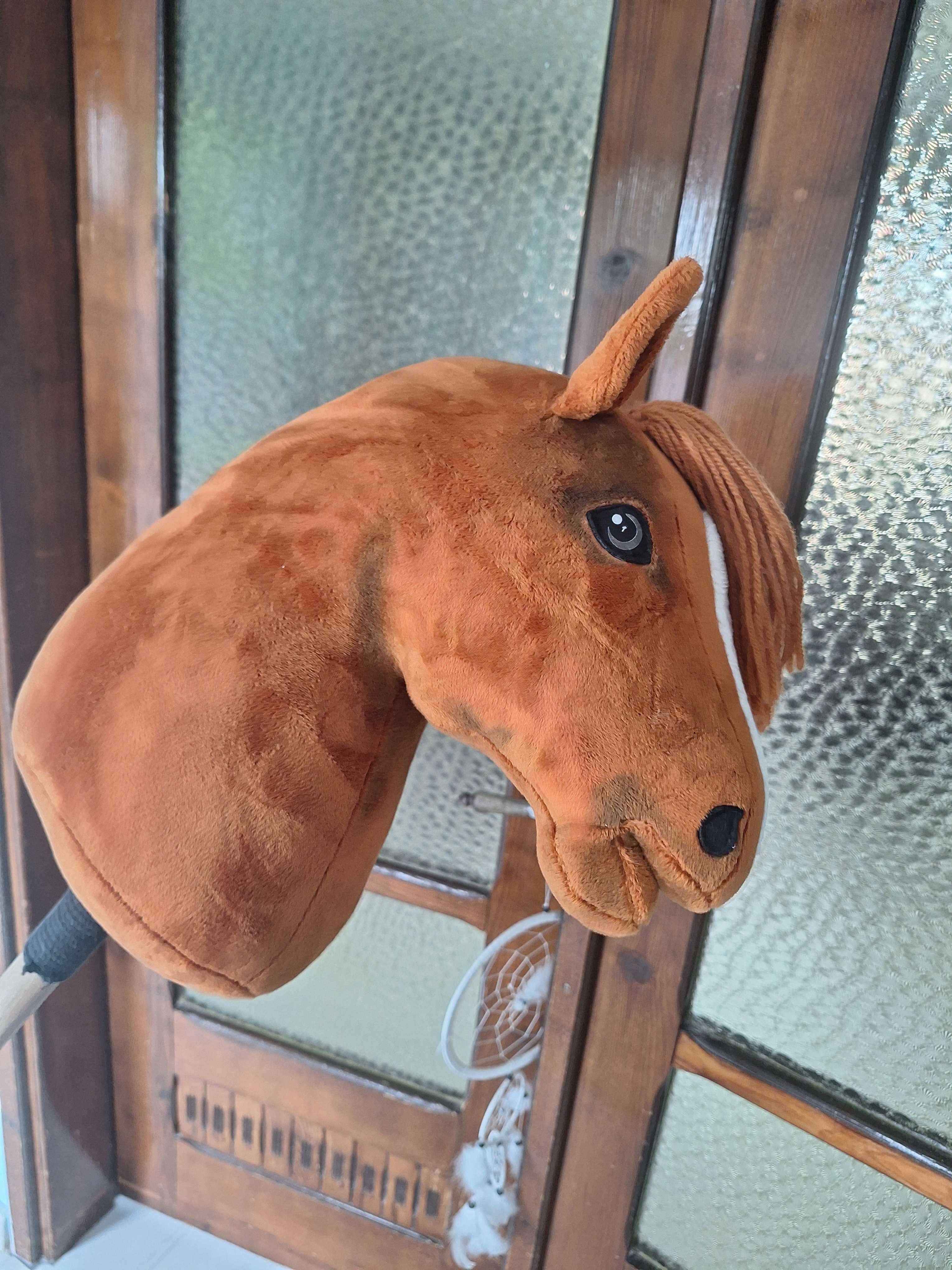 Hobby horse A3 rudy