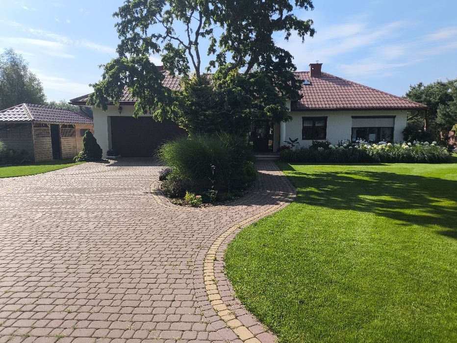 Zakładanie trawników, nawodnienia, usługi glebogryzarką separacyjną