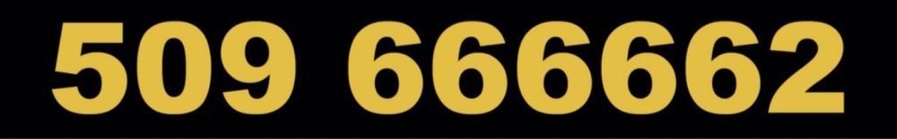 ZLOTE NUMERY 509.666666.X możliwość Pakietu dla całej Rodzinki / Firmy