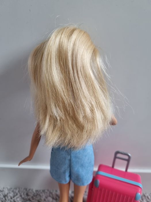 Барби путешественница с собачкой! Barbie