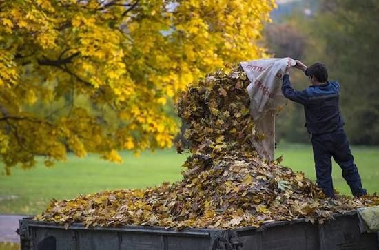 Вывоз листьев ,веток уборка участка