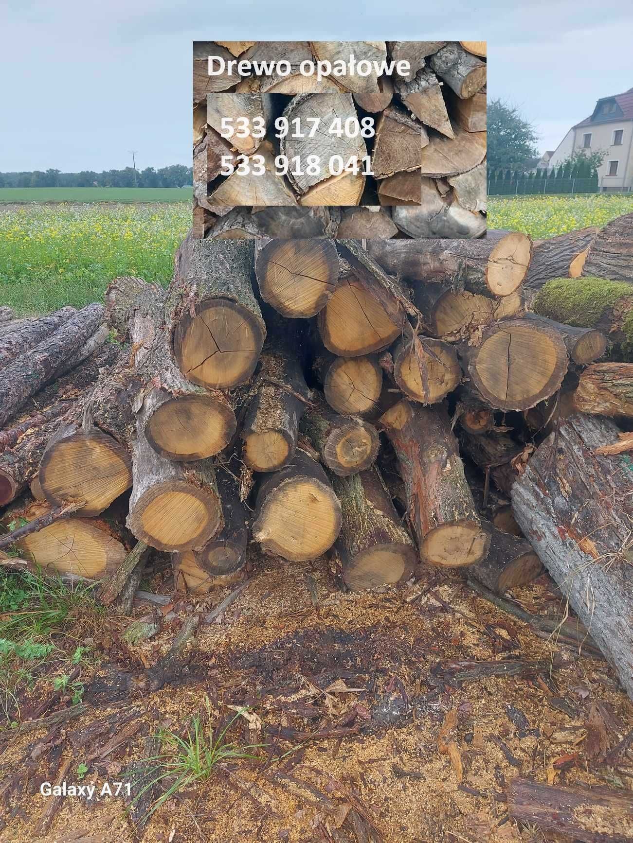Drewno Opałowe drzewo sosna dąb jesion buk
