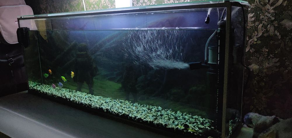 Аквариум 120 літрів