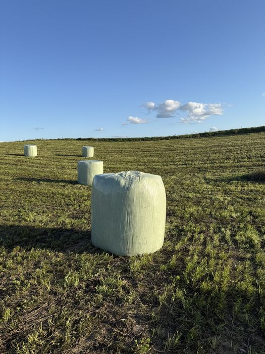 Baloty sianokiszonki