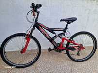 Bicicleta roda 17