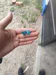 Brincos borboleta