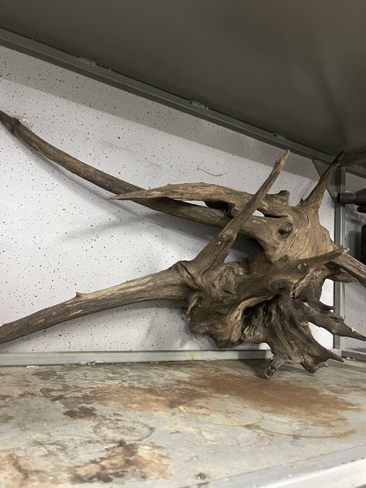 Корень в аквариум