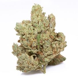 5G Susz CBD GORILLA GLUE 38% THCP (bez HHCO) LEGALNY marihuana