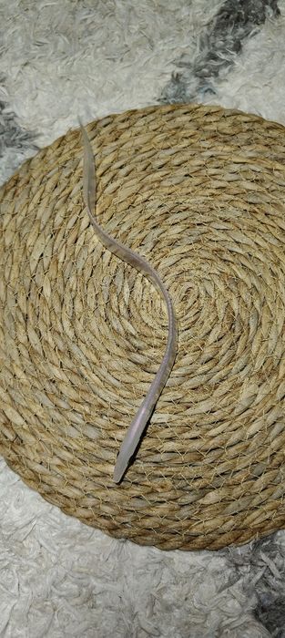 Przynęta miękka, guma do trollingu, spinningu