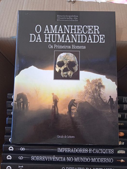 Várias coleções, vários temas