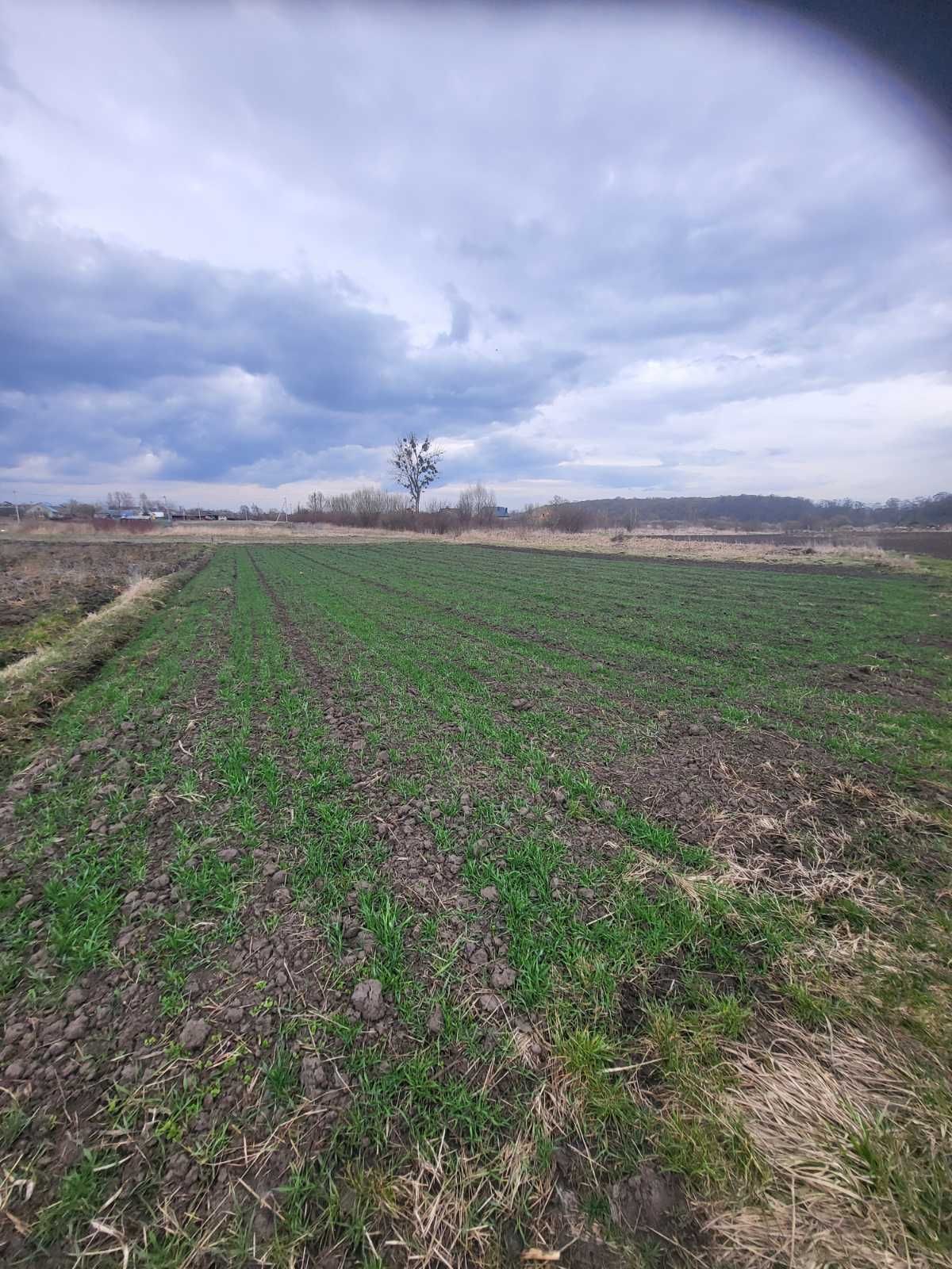 ділянка під будівництво , розвинене село біля Львова