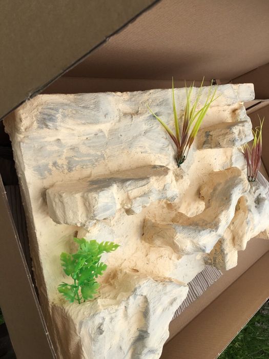 Tło 3D terrarium agama wąż gekon