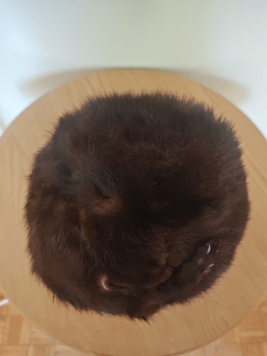 Czapka futrzana damska Toczek z norek