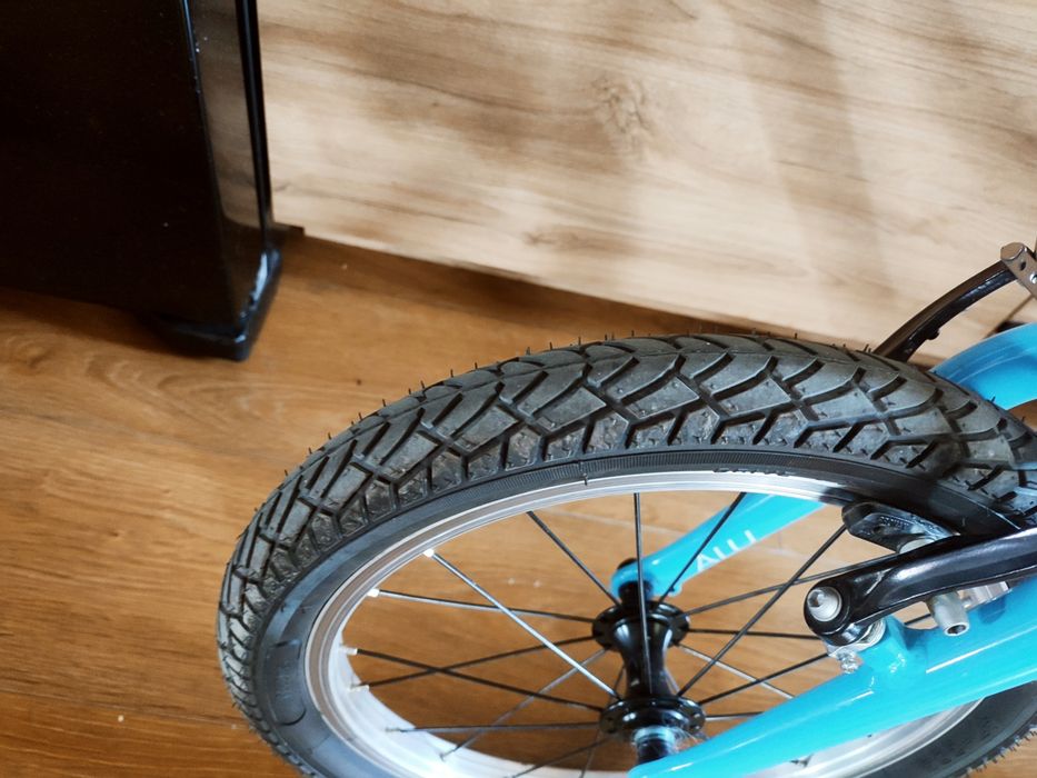 Puky LS Pro 16 rowerek dziecięcy