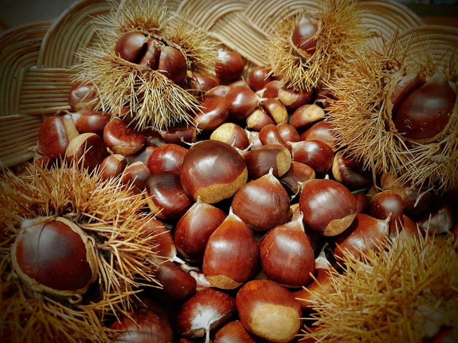Castanhas biológicas