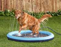 Piscina para Cão