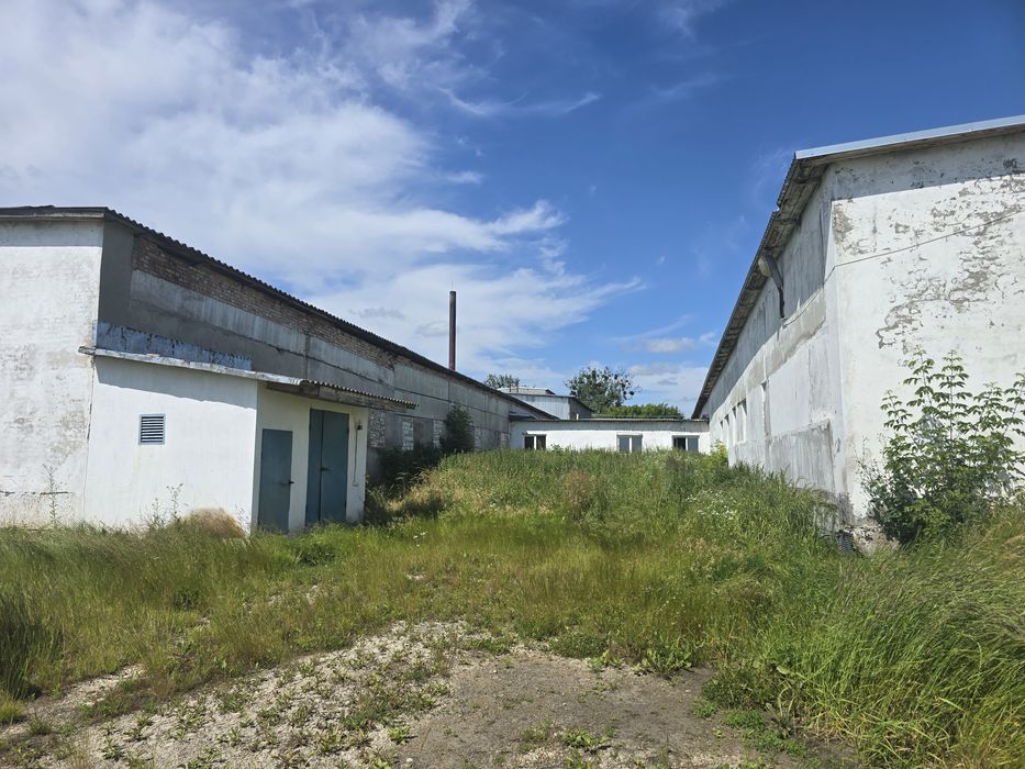 Цех виробництво шпону