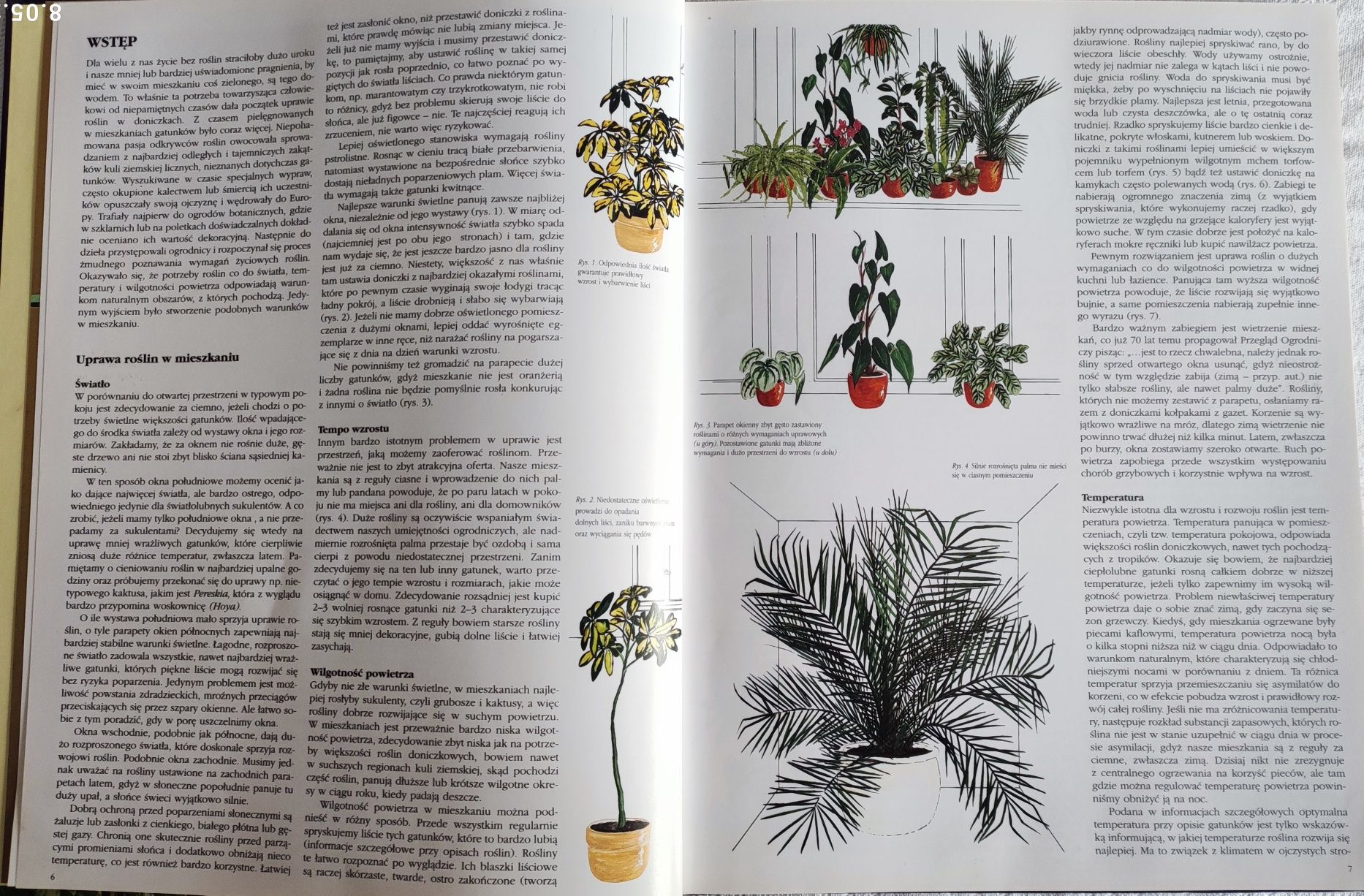 Książka "Pielęgnowanie roślin pokojowych" część 2, autor: Jarosław Rak