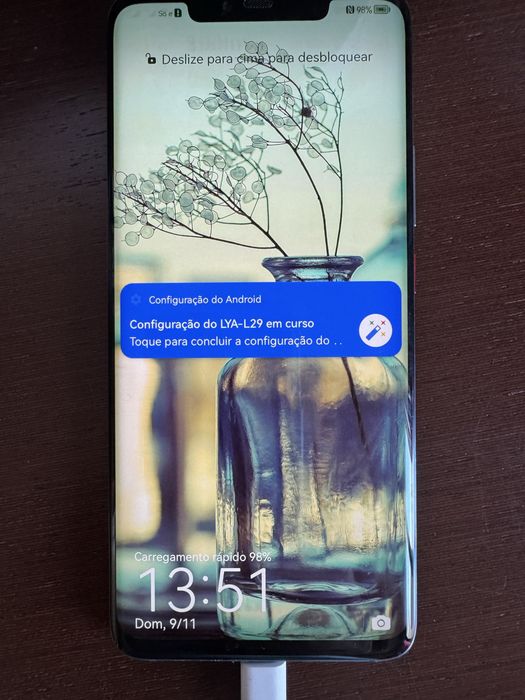 Huawei mate 20 Pro pecaa