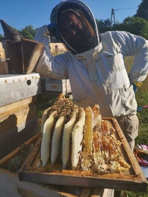 Miód z Puszczy Boreckiej