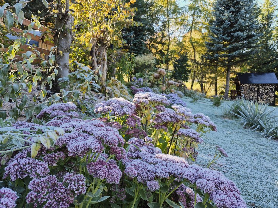 Impreza. Urodziny. Weekend.  Panienski. Kawalerski. Sauna. Bania. Gril