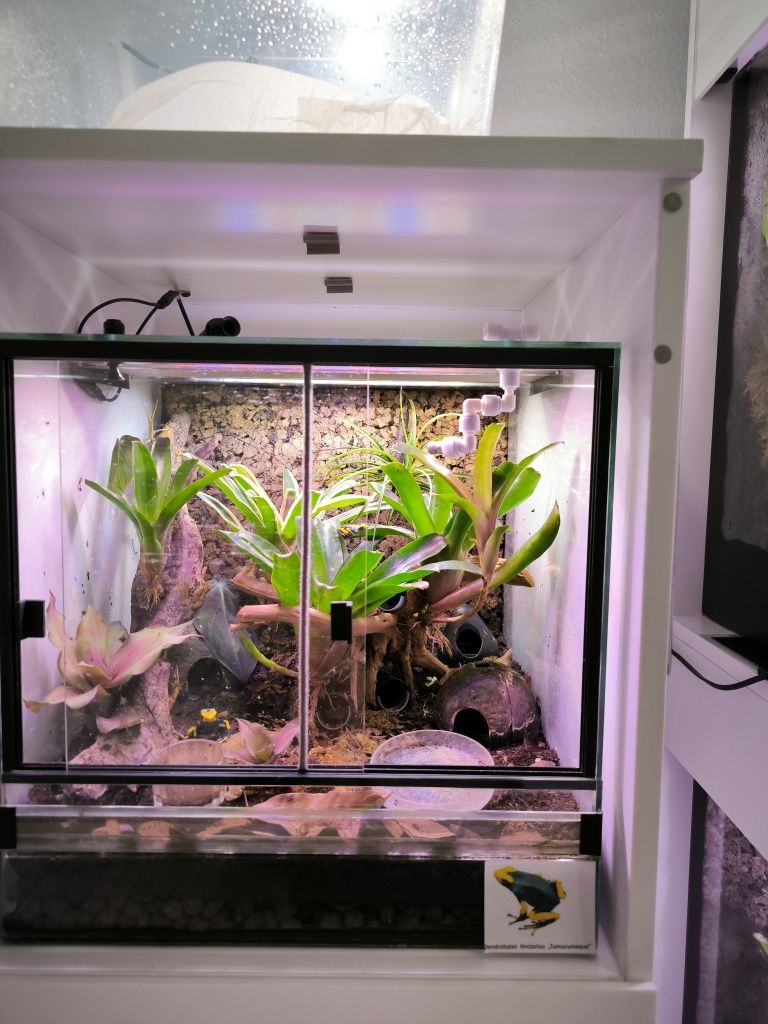 Dysze białe zraszające terrarium tropikalne paludarium system