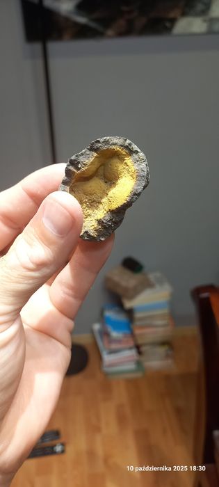 Minerały skamieniałości konkrecja limonitowa