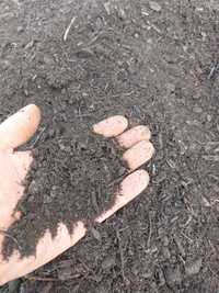 Bio kompost ziemia