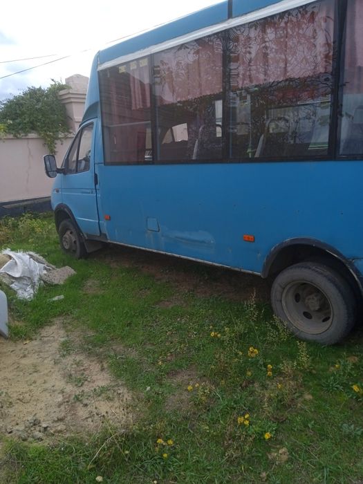 Продаю Руту 20 зелена