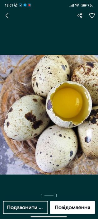 Перепелині яйця.