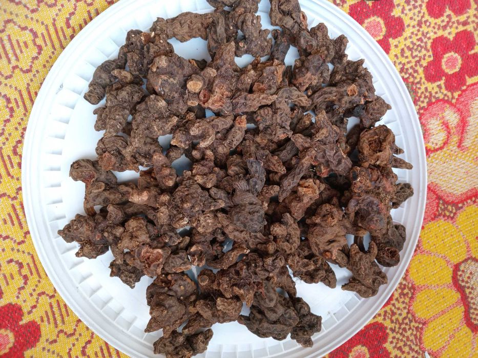 Корінь Калгану сушений