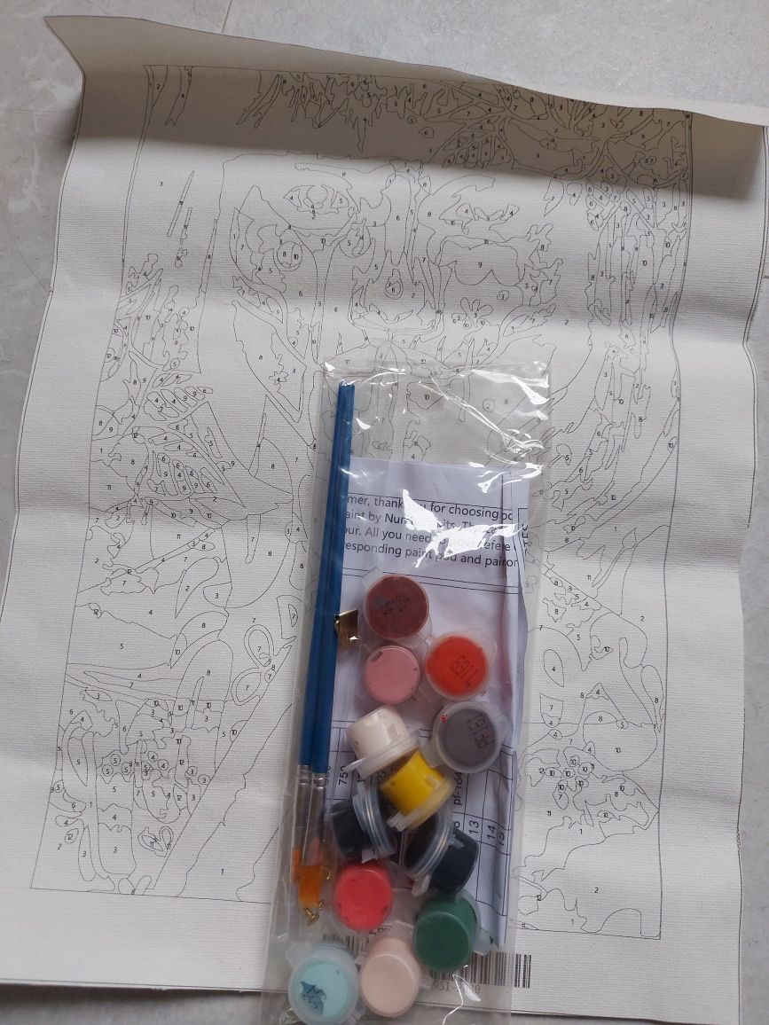 Картина по номерам 20*30