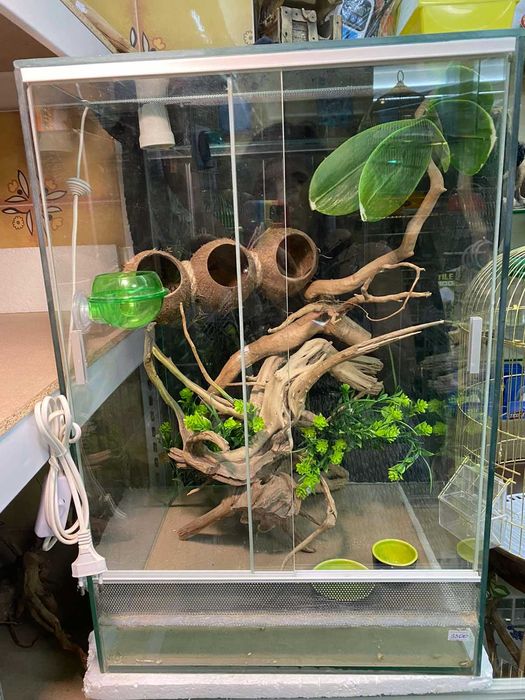 Тераріум скляний для рептилій (різні)