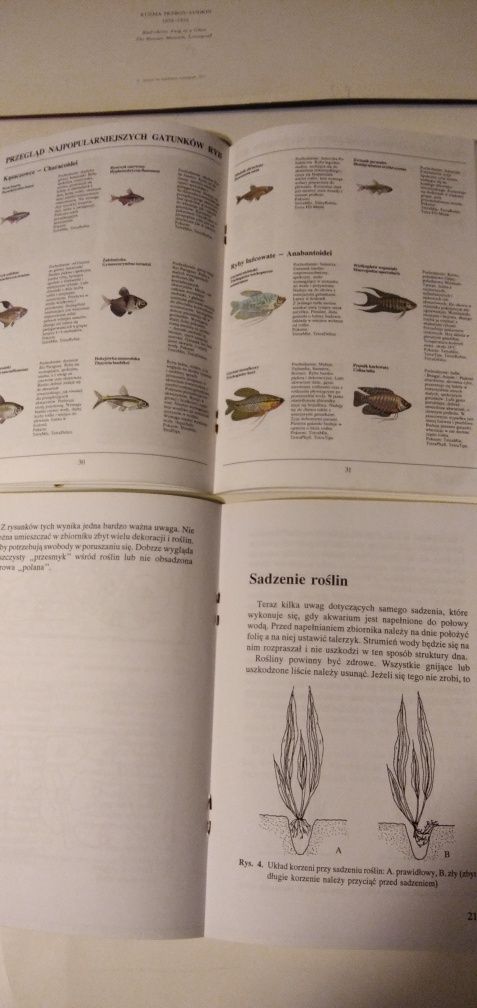 Moje pierwsze akwarium oraz Wszystko o akwarium  2 książki.