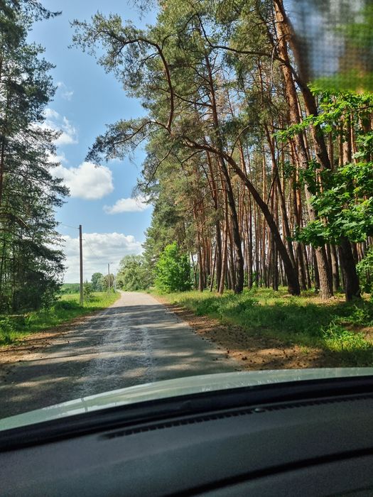 Їжаківка, капітальна дача в сосновому лісі, документи