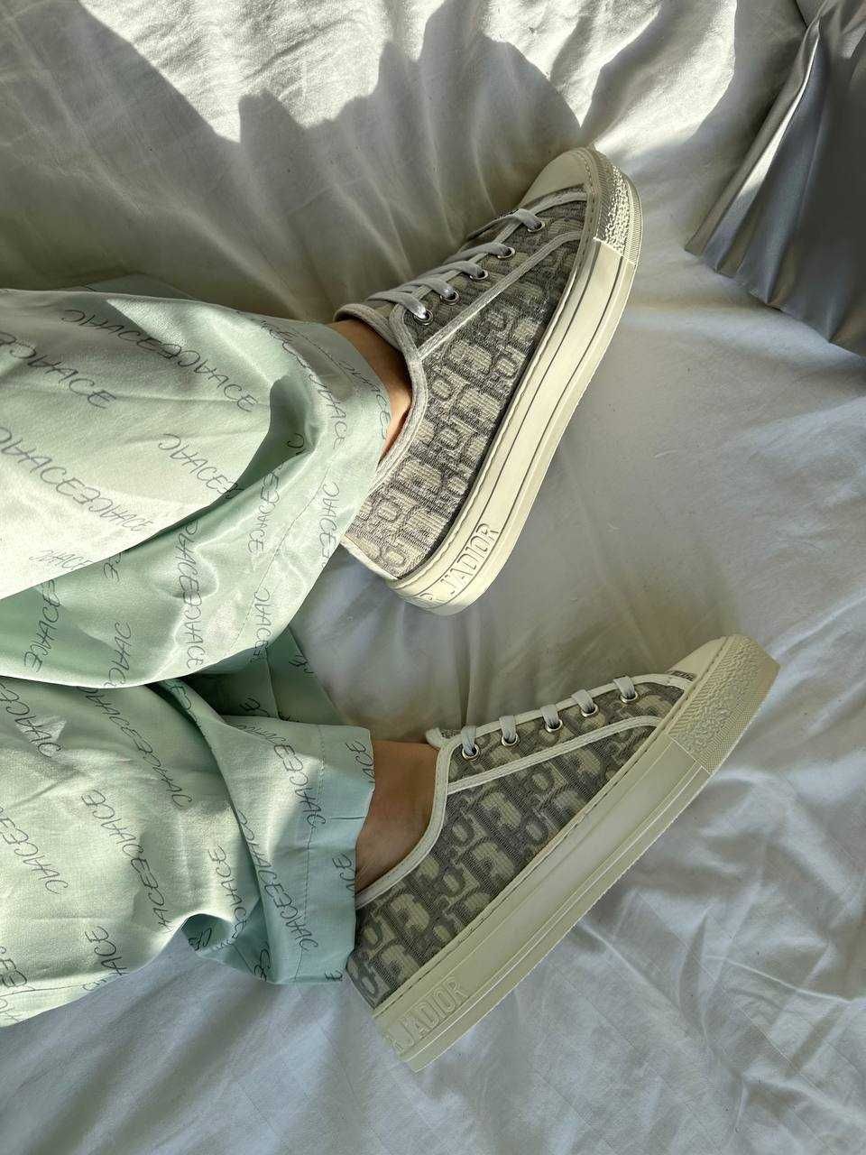 Dior Sneakers Low Grey Premium