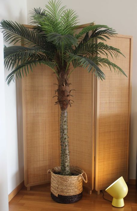 Conjunto de Decoração – Transforme o Seu Espaço com Estilo