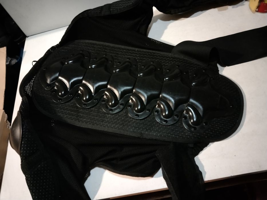 Żółwik zbroja rozmiar M junior