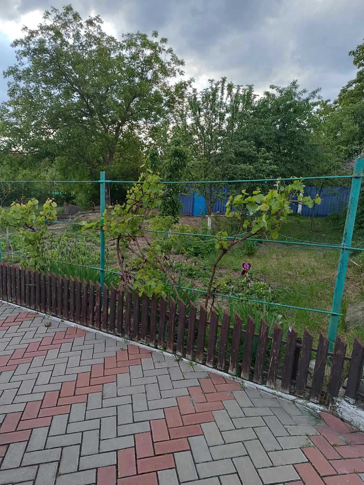 Продам доглянутий будинок в центрі Немирова 1348