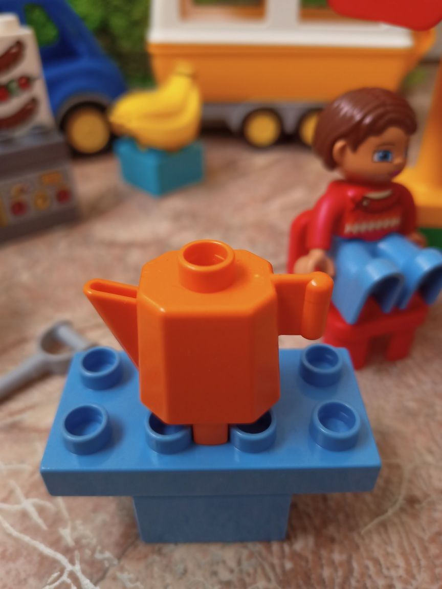 Конструктор LEGO DUPLO Отдых на природе (10602)