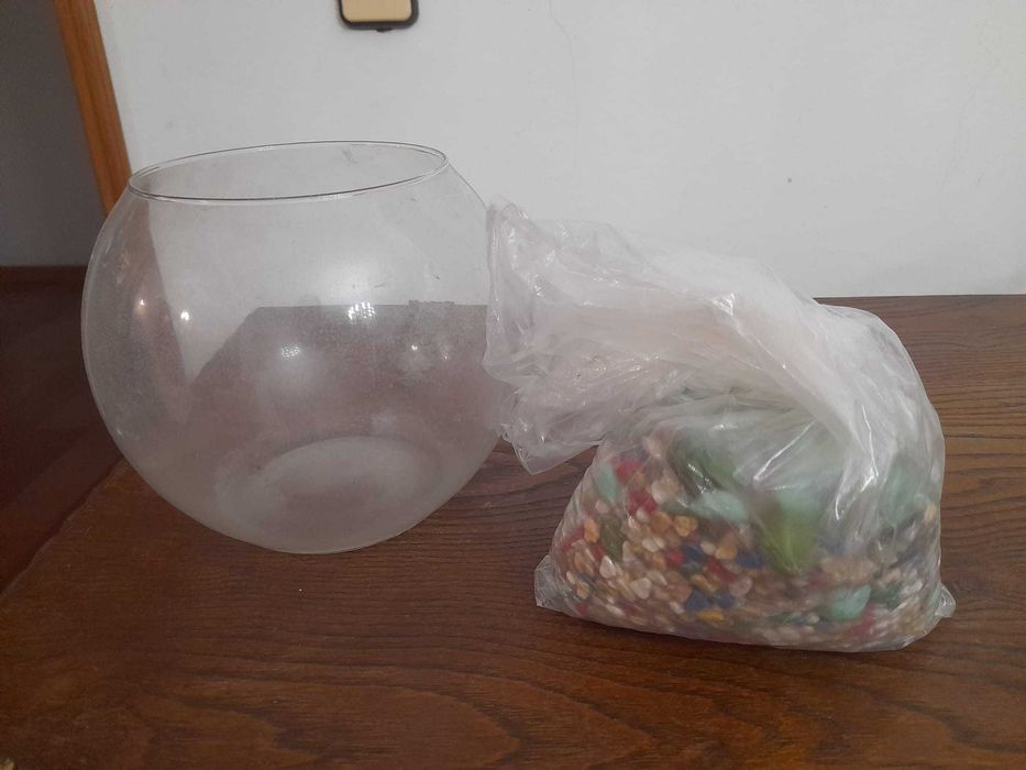 Aquário redondo de vidro transparente