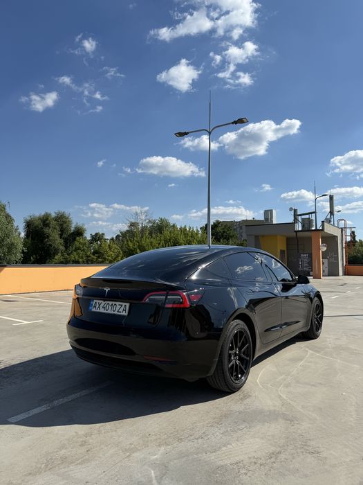 Tesla model 3 2019