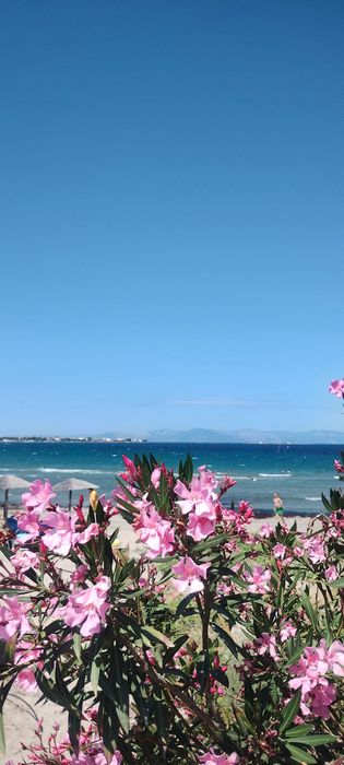 sylwester w slonecznej grecji wakacje urlop apartament nad morzem