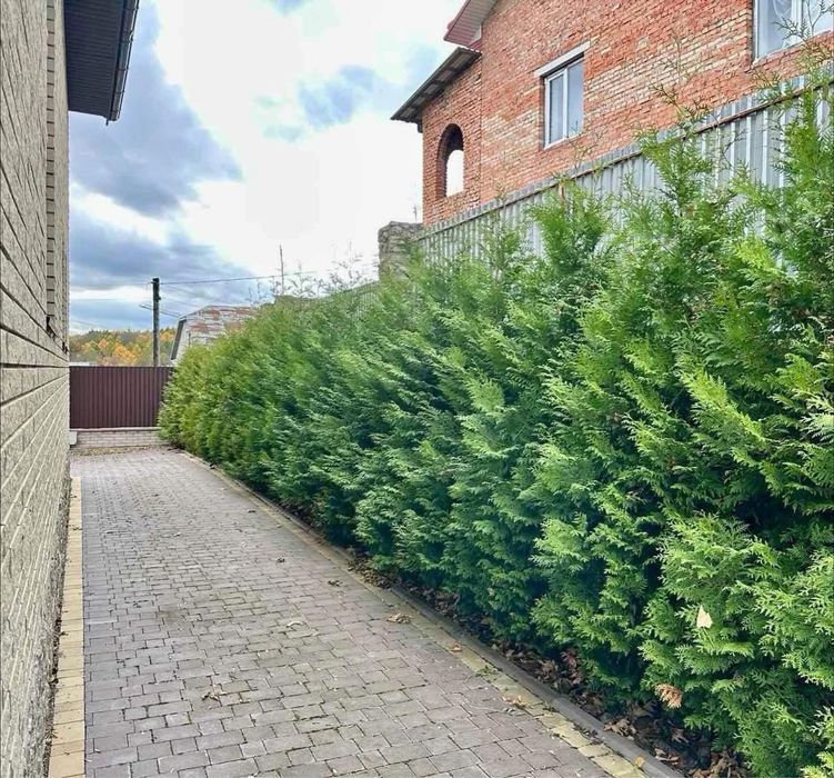 Продається окремий будинок в Кутківцях