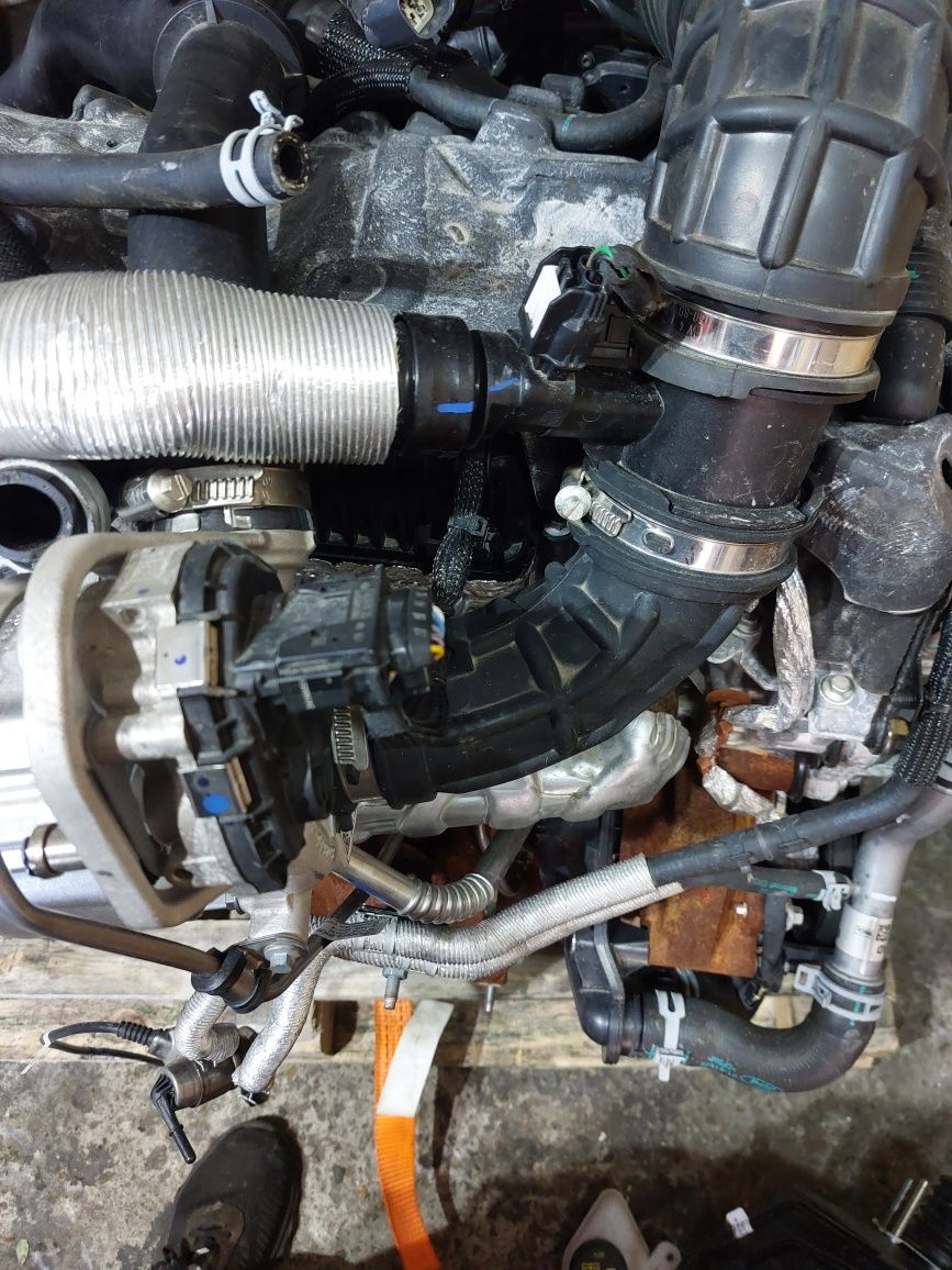 Silnik ford transit mk8 lift 2.0 ecoblue